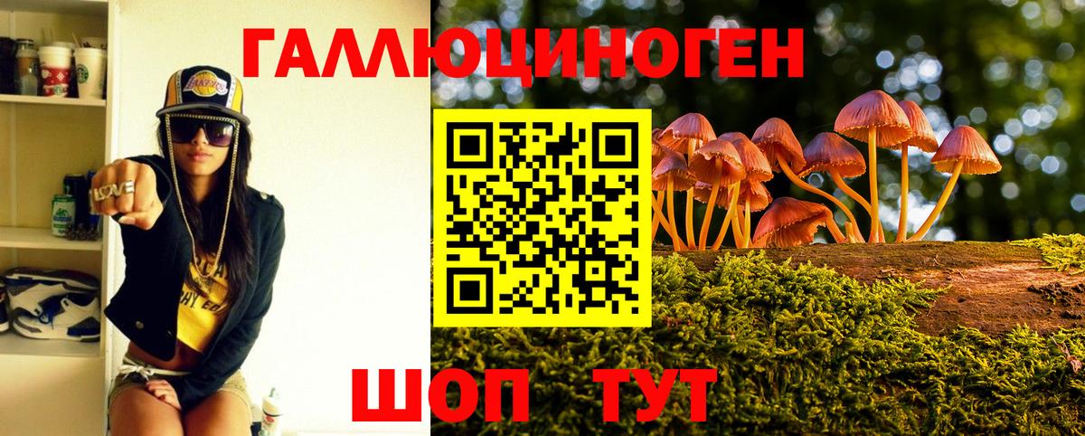 Псилоцибиновые грибы MAGIC MUSHROOMS  Вход с VPN  Чехов 